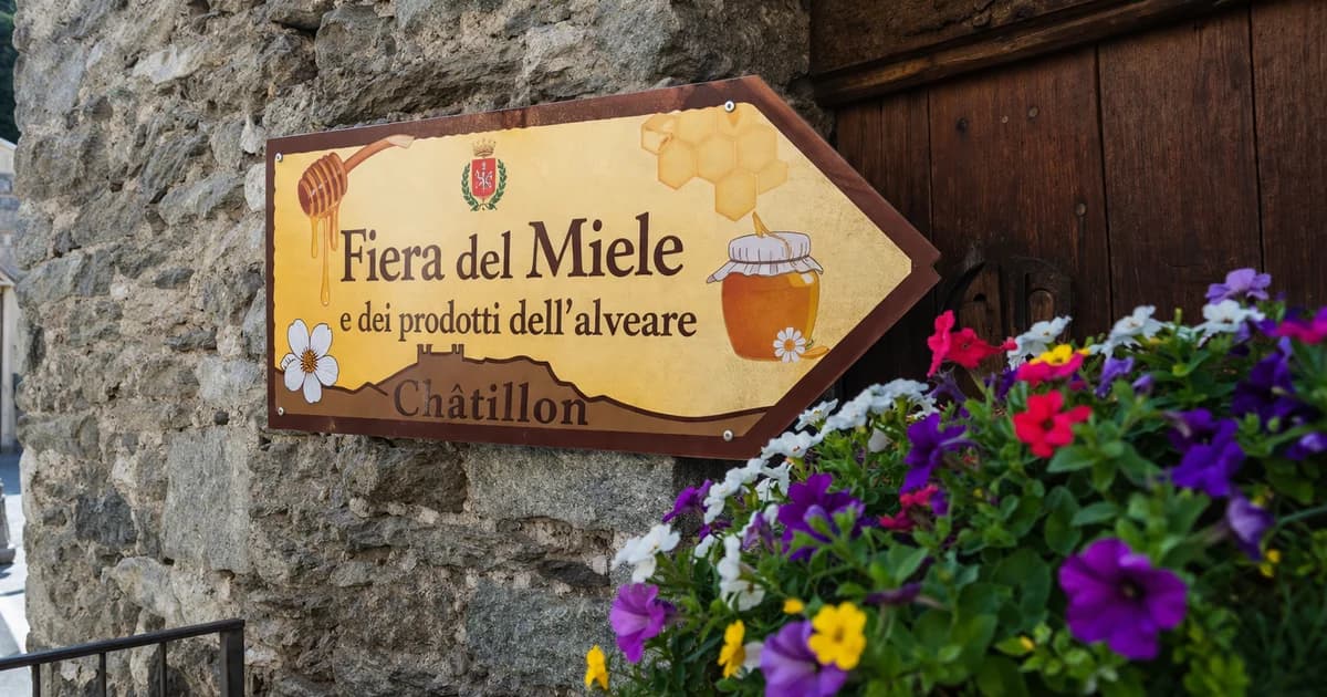  Guida Comuni Sagre, fiere e mercati della Valle d'Aosta 1