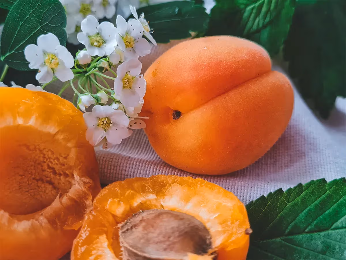 Albicocca vesuviana intera e metà aperta con nocciolo accanto a fiori bianchi primaverili